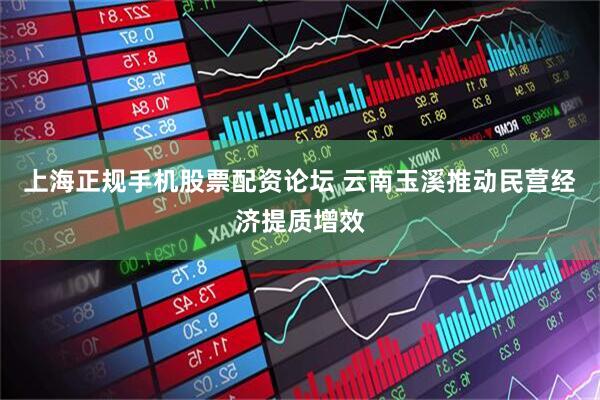 上海正规手机股票配资论坛 云南玉溪推动民营经济提质增效